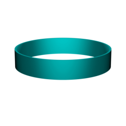 BAGUE DE GUIDAGE 25X30X9,5 POLYESTER+PTFE TURQUOISE